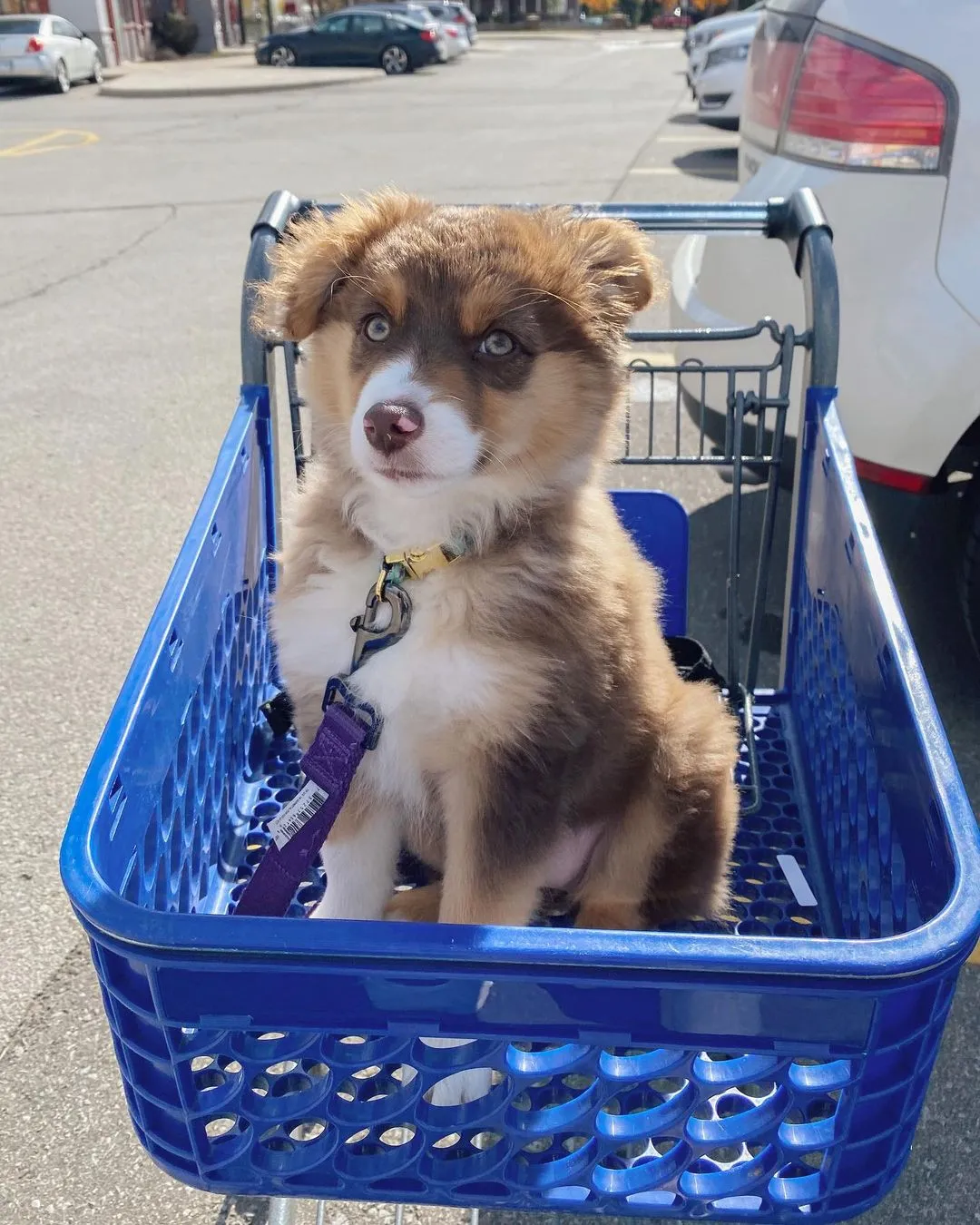 Nalla
