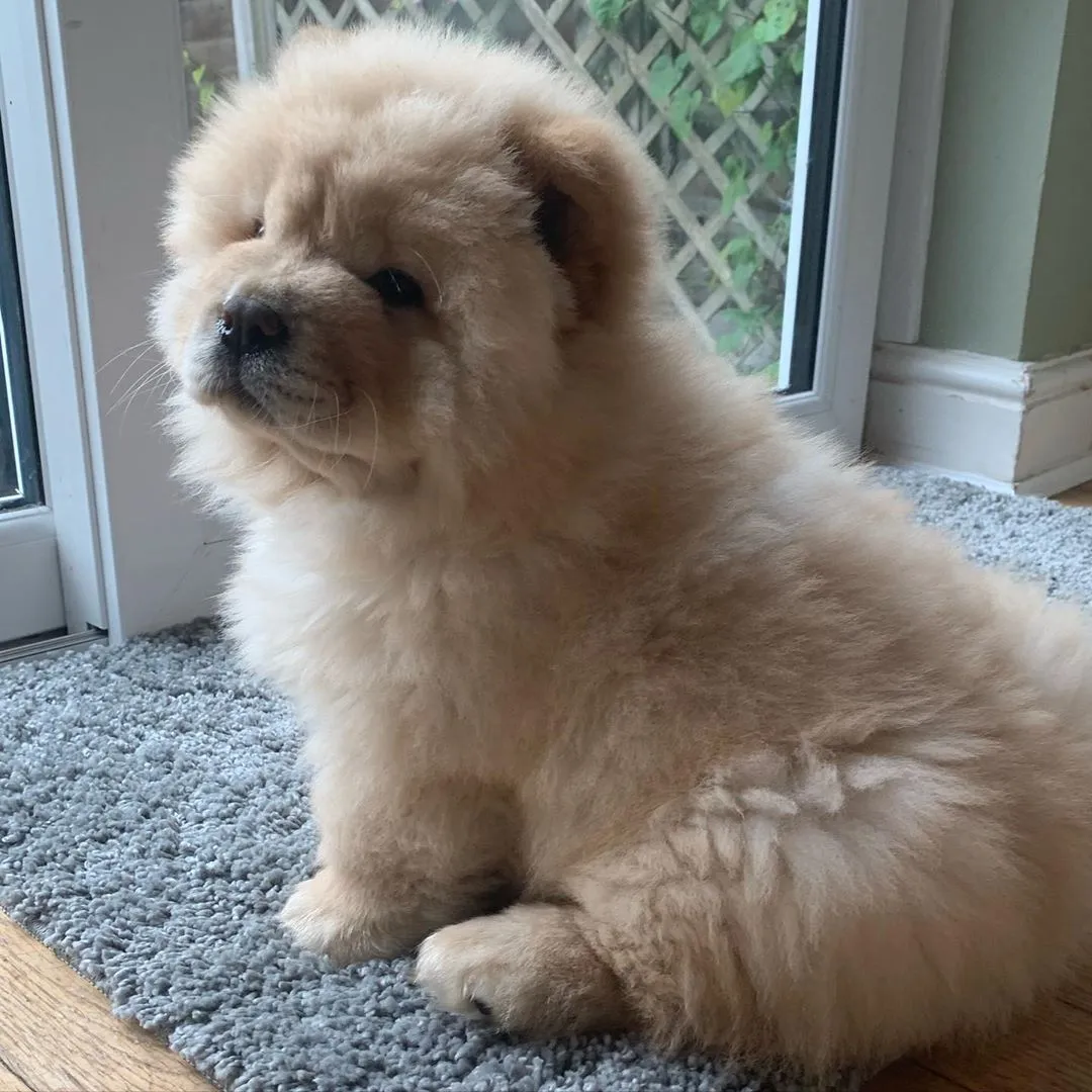 Sam