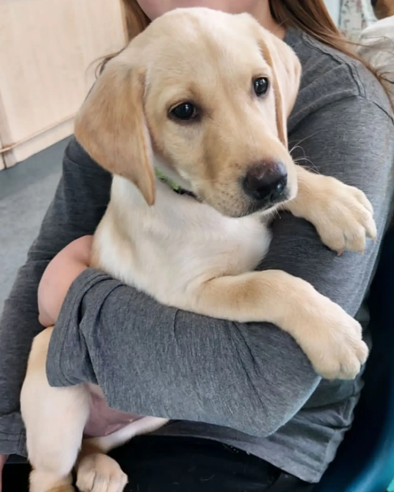 Orla
