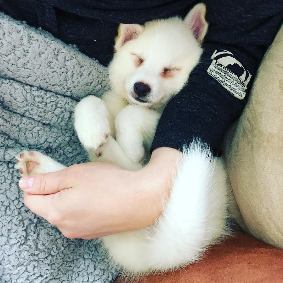 Nina